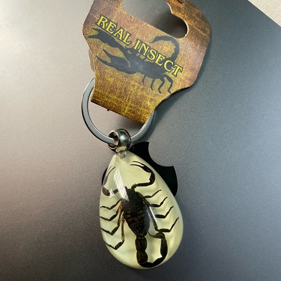 Real insect key chain - Picture 2 of 7